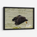 Águila con presa en vuelo - 5000 grados | Cuadro decorativo de Canvas Lab