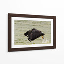 Águila con presa en vuelo - 5000 grados | Cuadro decorativo de Canvas Lab