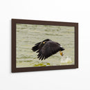 Águila con presa en vuelo - 5000 grados | Cuadro decorativo de Canvas Lab