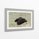 Águila con presa en vuelo - 5000 grados | Cuadro decorativo de Canvas Lab