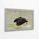 Águila con presa en vuelo - 5000 grados | Cuadro decorativo de Canvas Lab