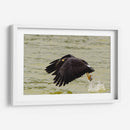 Águila con presa en vuelo - 5000 grados | Cuadro decorativo de Canvas Lab