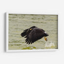 Águila con presa en vuelo - 5000 grados | Cuadro decorativo de Canvas Lab
