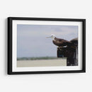 Albatros viendo al horizonte - 5000 grados | Cuadro decorativo de Canvas Lab