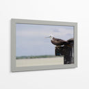 Albatros viendo al horizonte - 5000 grados | Cuadro decorativo de Canvas Lab