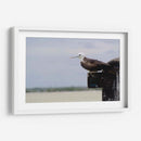 Albatros viendo al horizonte - 5000 grados | Cuadro decorativo de Canvas Lab