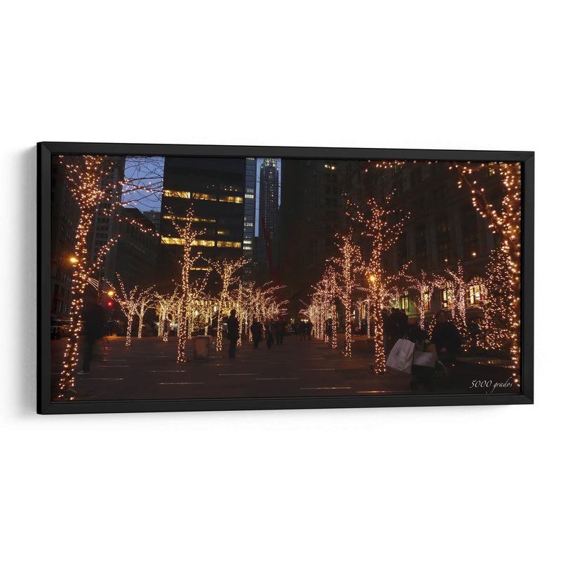 Árboles iluminados en navidad - 5000 grados | Cuadro decorativo de Canvas Lab