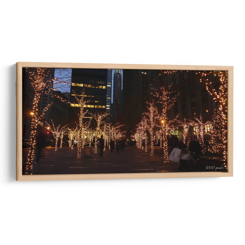 Árboles iluminados en navidad - 5000 grados | Cuadro decorativo de Canvas Lab