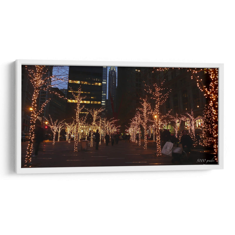 Árboles iluminados en navidad - 5000 grados | Cuadro decorativo de Canvas Lab