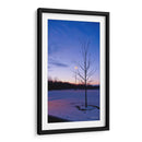 Caducifolio con nieve - 5000 grados | Cuadro decorativo de Canvas Lab