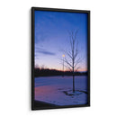 Caducifolio con nieve - 5000 grados | Cuadro decorativo de Canvas Lab