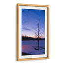 Caducifolio con nieve - 5000 grados | Cuadro decorativo de Canvas Lab