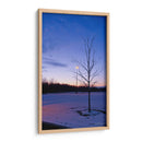 Caducifolio con nieve - 5000 grados | Cuadro decorativo de Canvas Lab