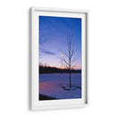 Caducifolio con nieve - 5000 grados | Cuadro decorativo de Canvas Lab