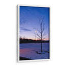 Caducifolio con nieve - 5000 grados | Cuadro decorativo de Canvas Lab