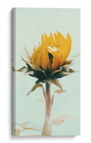 Timidez amarilla | Cuadro decorativo de Canvas Lab