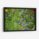 Dulce néctar - 5000 grados | Cuadro decorativo de Canvas Lab