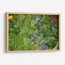 Dulce néctar - 5000 grados | Cuadro decorativo de Canvas Lab