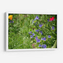 Dulce néctar - 5000 grados | Cuadro decorativo de Canvas Lab