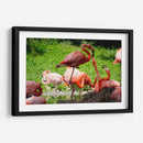 Flamingos amor en rosa - 5000 grados | Cuadro decorativo de Canvas Lab