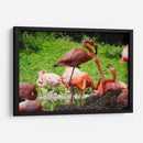 Flamingos amor en rosa - 5000 grados | Cuadro decorativo de Canvas Lab