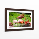 Flamingos amor en rosa - 5000 grados | Cuadro decorativo de Canvas Lab