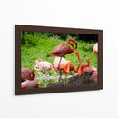 Flamingos amor en rosa - 5000 grados | Cuadro decorativo de Canvas Lab