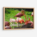 Flamingos amor en rosa - 5000 grados | Cuadro decorativo de Canvas Lab