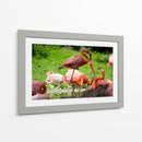 Flamingos amor en rosa - 5000 grados | Cuadro decorativo de Canvas Lab