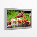 Flamingos amor en rosa - 5000 grados | Cuadro decorativo de Canvas Lab