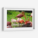 Flamingos amor en rosa - 5000 grados | Cuadro decorativo de Canvas Lab