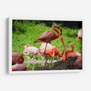 Flamingos amor en rosa - 5000 grados | Cuadro decorativo de Canvas Lab
