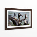 Grupo de pelicanos - 5000 grados | Cuadro decorativo de Canvas Lab