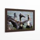 Grupo de pelicanos - 5000 grados | Cuadro decorativo de Canvas Lab