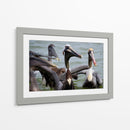 Grupo de pelicanos - 5000 grados | Cuadro decorativo de Canvas Lab