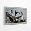 Grupo de pelicanos - 5000 grados | Cuadro decorativo de Canvas Lab