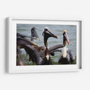Grupo de pelicanos - 5000 grados | Cuadro decorativo de Canvas Lab