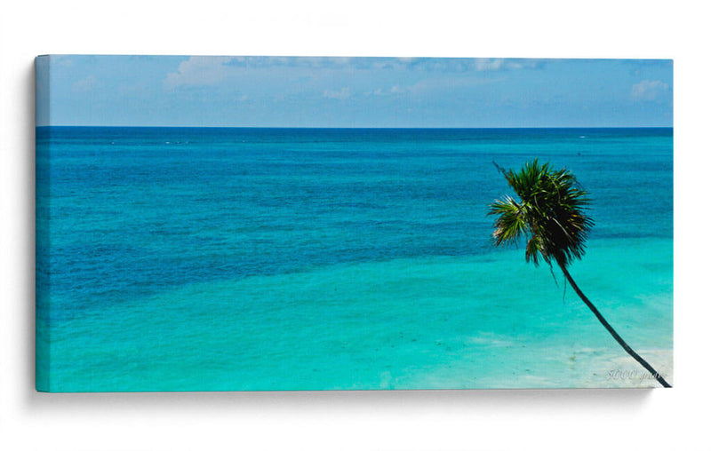 Palmera en el mar - 5000 grados | Cuadro decorativo de Canvas Lab