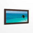 Palmera en el mar - 5000 grados | Cuadro decorativo de Canvas Lab
