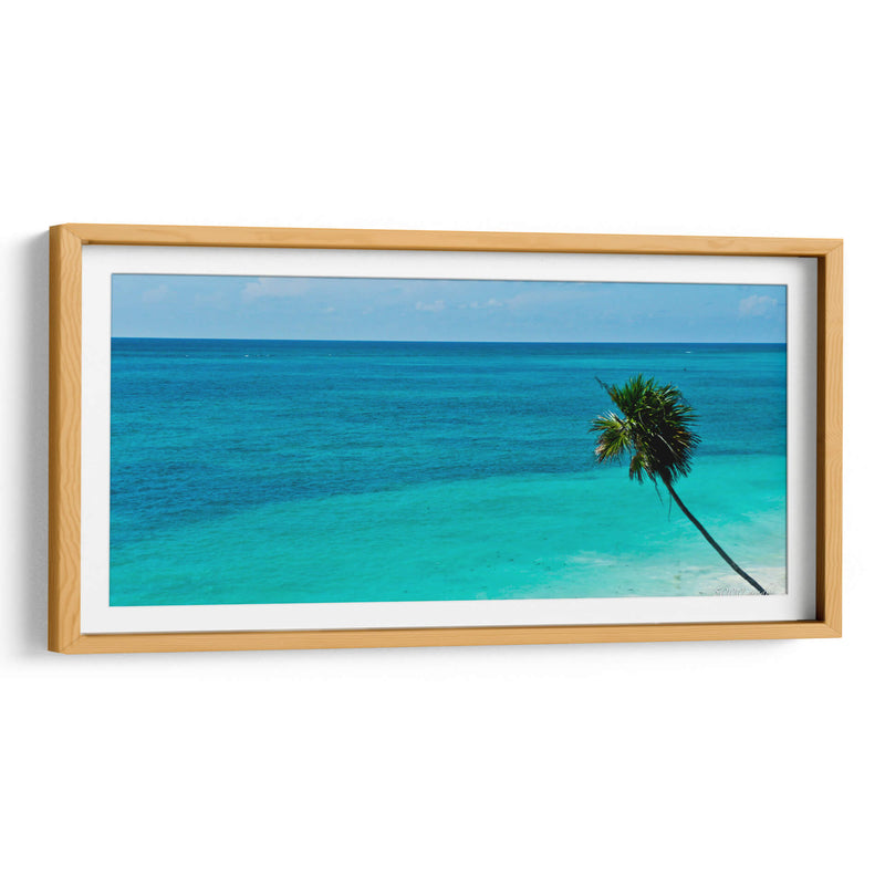 Palmera en el mar - 5000 grados | Cuadro decorativo de Canvas Lab