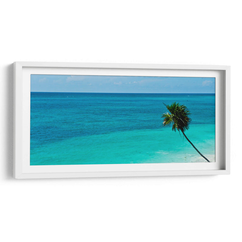 Palmera en el mar - 5000 grados | Cuadro decorativo de Canvas Lab