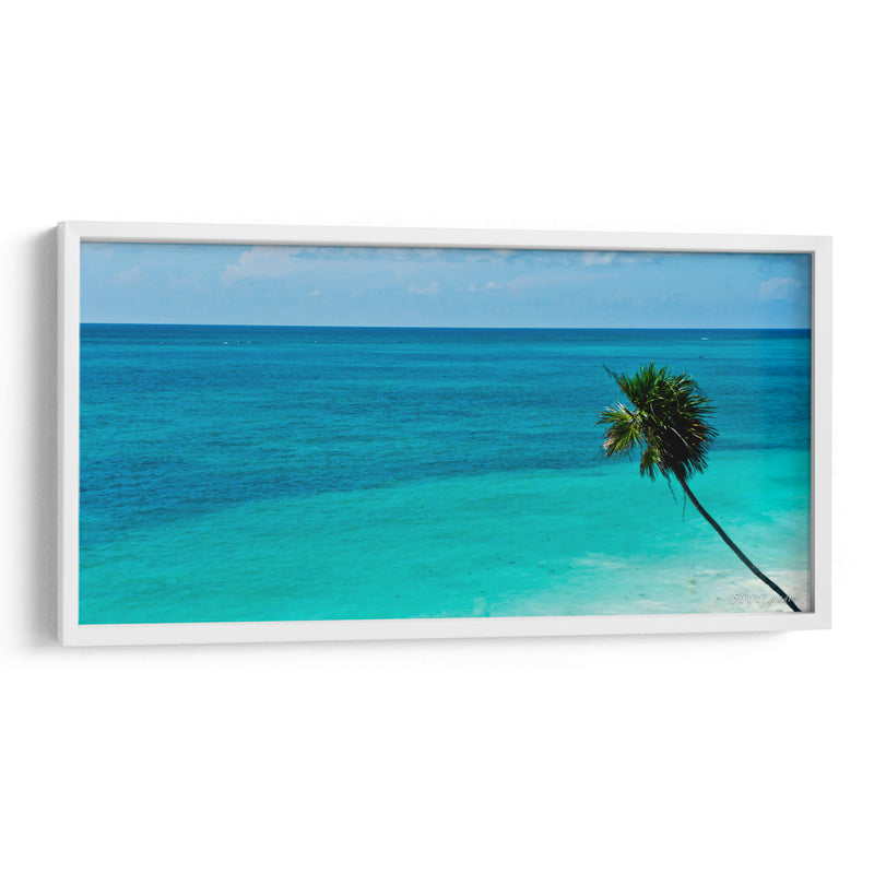 Palmera en el mar - 5000 grados | Cuadro decorativo de Canvas Lab