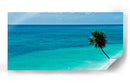 Palmera en el mar - 5000 grados | Cuadro decorativo de Canvas Lab