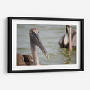 Pelicano de cerca - 5000 grados | Cuadro decorativo de Canvas Lab