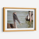 Pelicano de cerca - 5000 grados | Cuadro decorativo de Canvas Lab