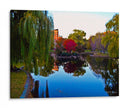 Reflejos en lago con arbol rojo, Boston - 5000 grados | Cuadro decorativo de Canvas Lab
