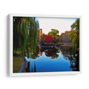 Reflejos en lago con arbol rojo, Boston - 5000 grados | Cuadro decorativo de Canvas Lab