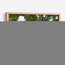 Rosa multifoco - 5000 grados | Cuadro decorativo de Canvas Lab