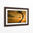 Sombras en Vallarta - 5000 grados | Cuadro decorativo de Canvas Lab