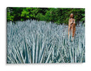 Virgen en campo de agave - 5000 grados | Cuadro decorativo de Canvas Lab